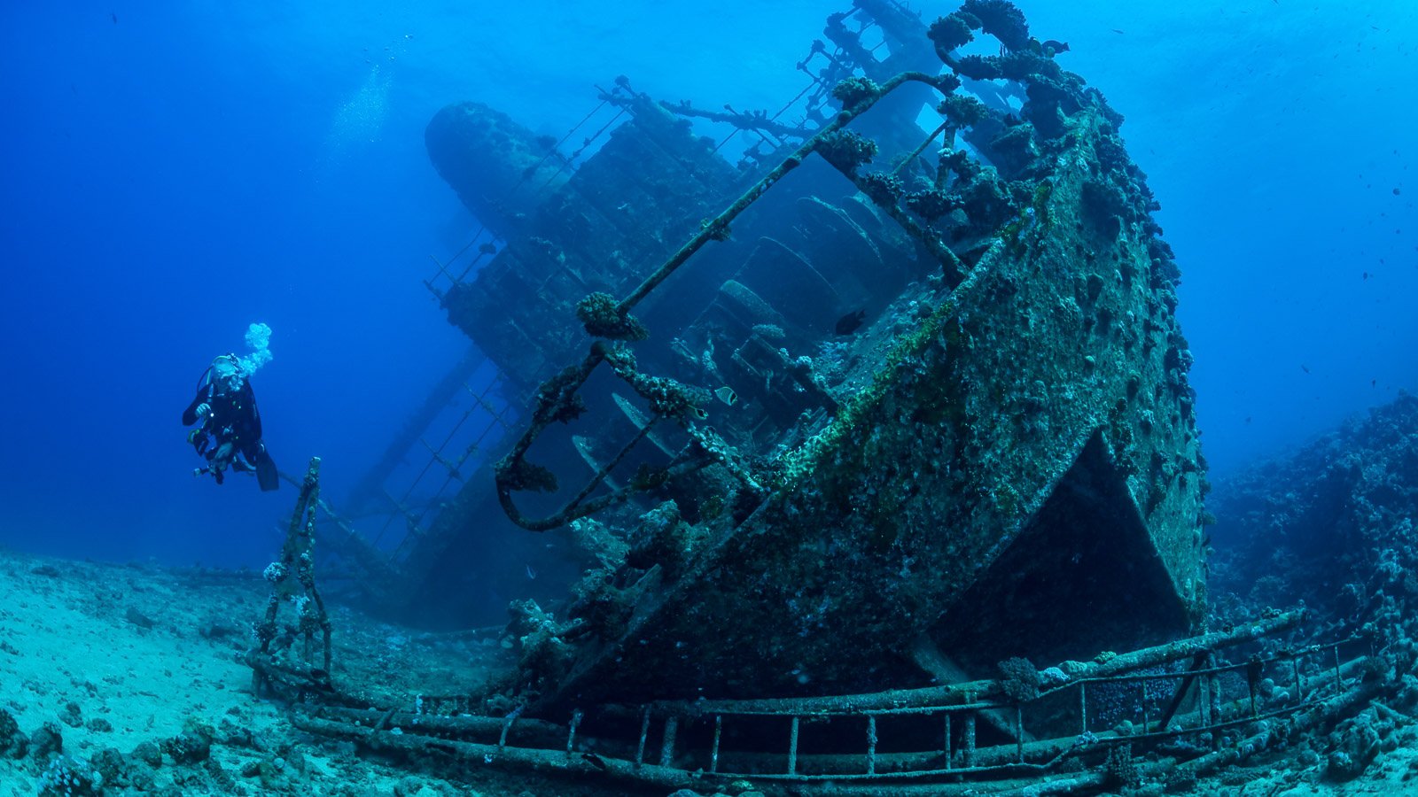 Diving the Red Sea