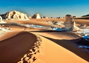 Farafra Oasis