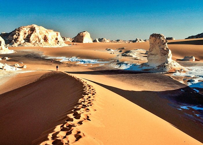Farafra Oasis