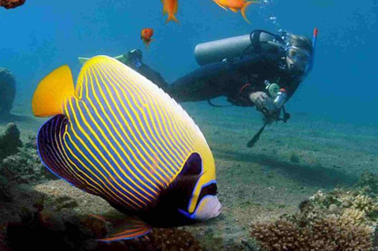 Cairo And Red Sea Dahab Egypt tour