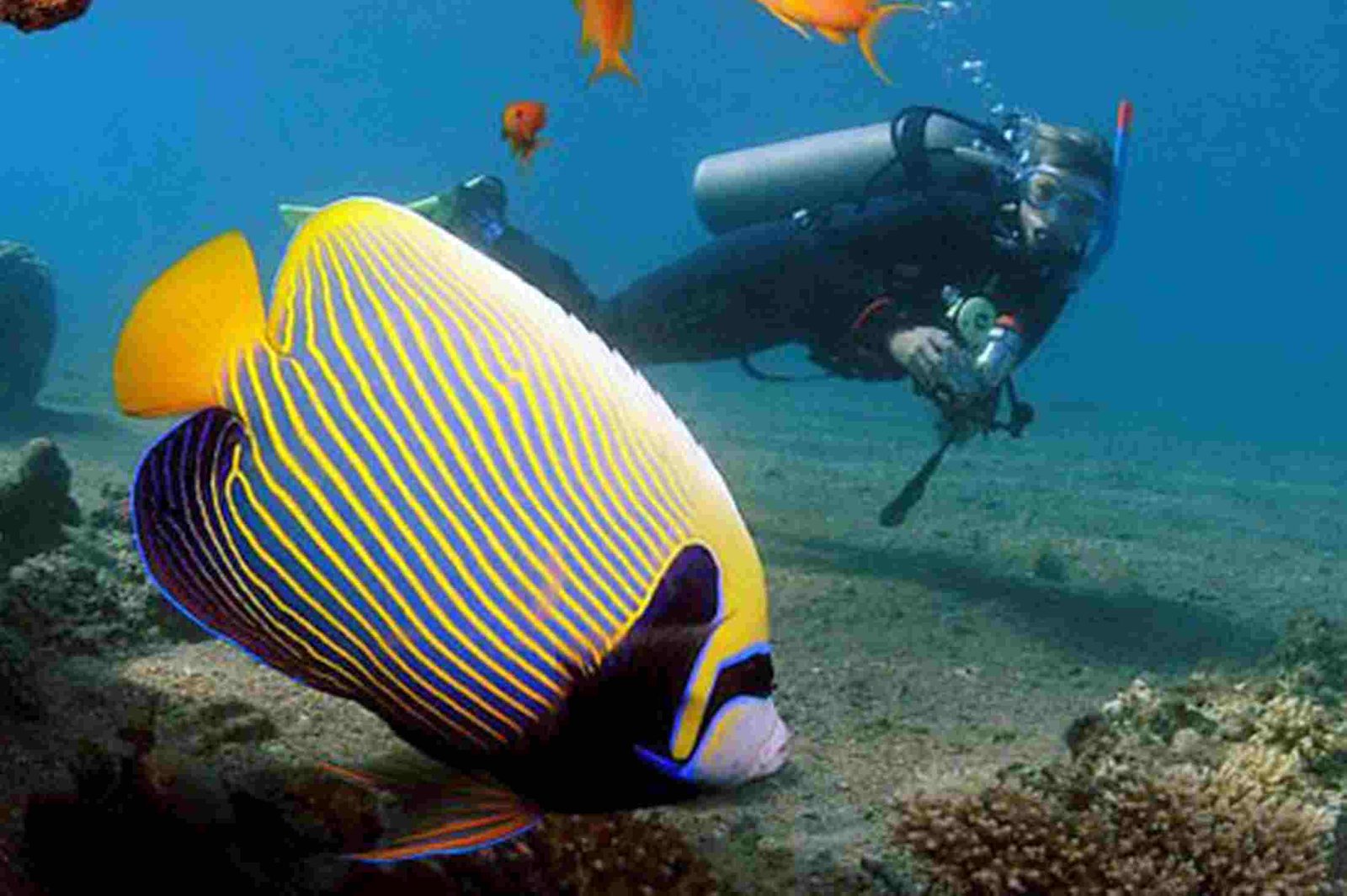 Cairo And Red Sea Dahab Egypt tour