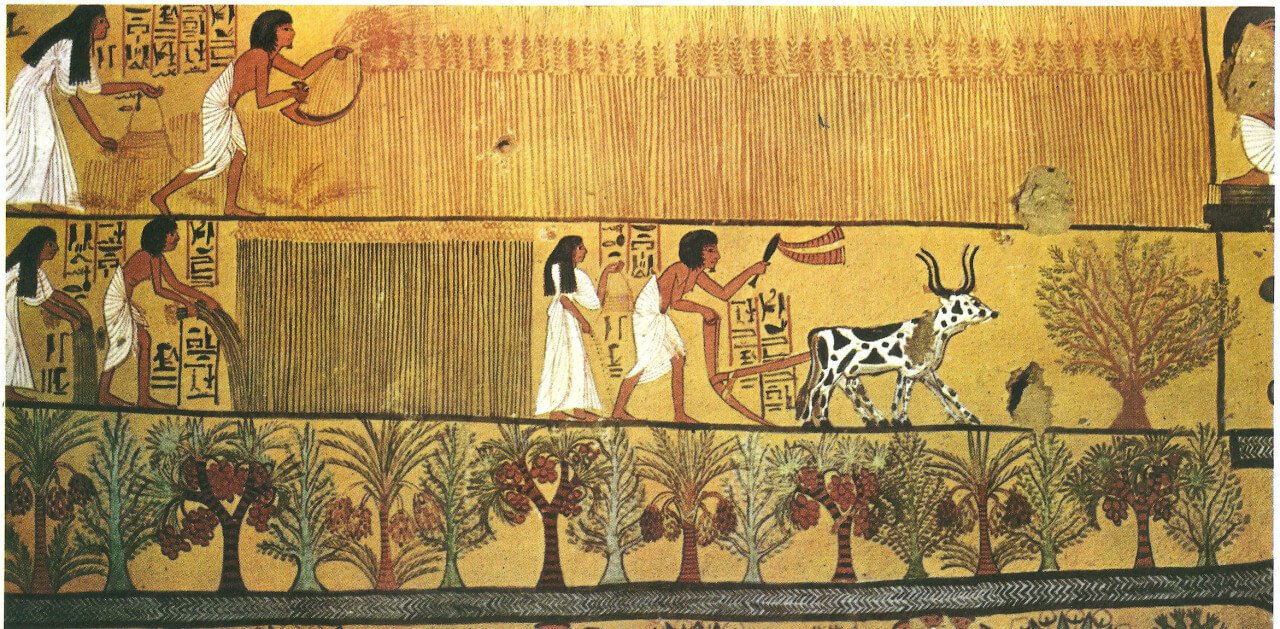 Wonderful agriculture in ancient Egypt 4 Facts about it.