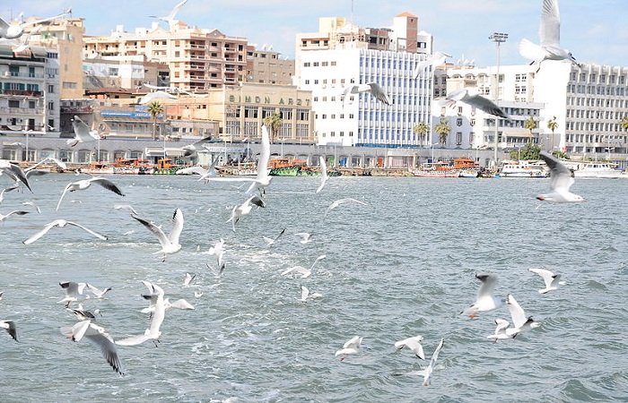 7 Information about Amazing Port Said and And her visits.