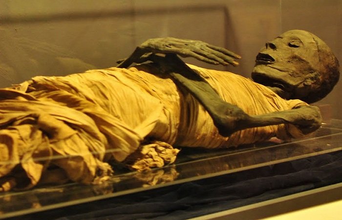 Transferring the Ancient Egyptian Royal Mummies to New Destination