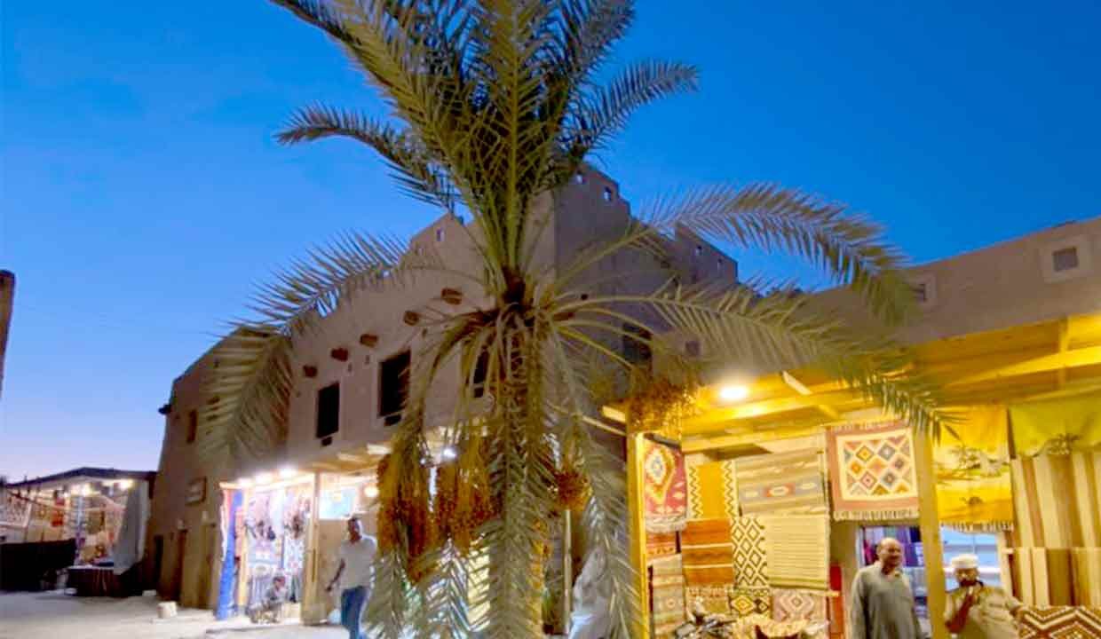 6 Facts about Amazing Siwa Oasis in Egypt.