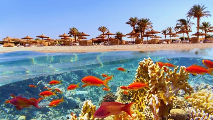 Blue Hole Tour From Sharm Egypt tour