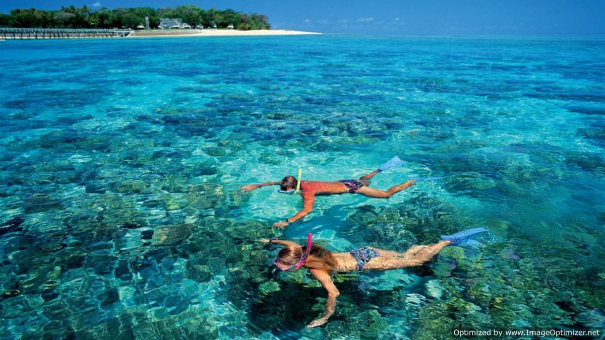 Snorkeling Tour On Giftun Island Egypt tour