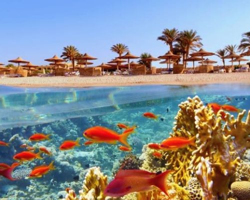 Blue Hole Tour From Sharm Egypt tour
