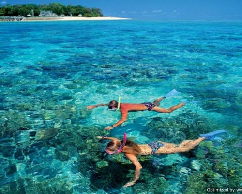 Snorkeling Tour On Giftun Island Egypt tour