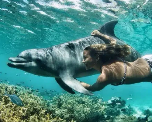 Snorkeling Trip at Sataya Dolphin Reef
